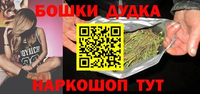 тгк Кингисепп