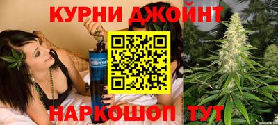 тгк Кингисепп