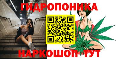 тгк Кингисепп