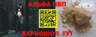 тгк Кингисепп
