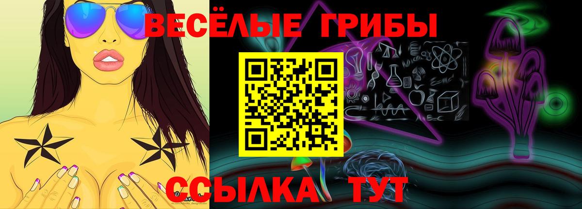 купить наркоту  Вход с VPN  Калуга  Псилоцибиновые грибы GOLDEN TEACHER 
